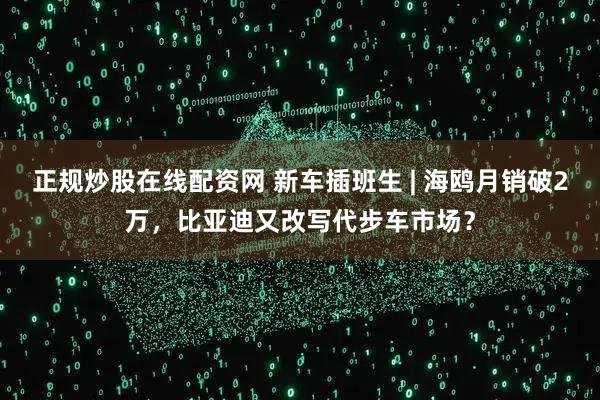 正规炒股在线配资网 新车插班生 | 海鸥月销破2万，比亚迪又改写代步车市场？